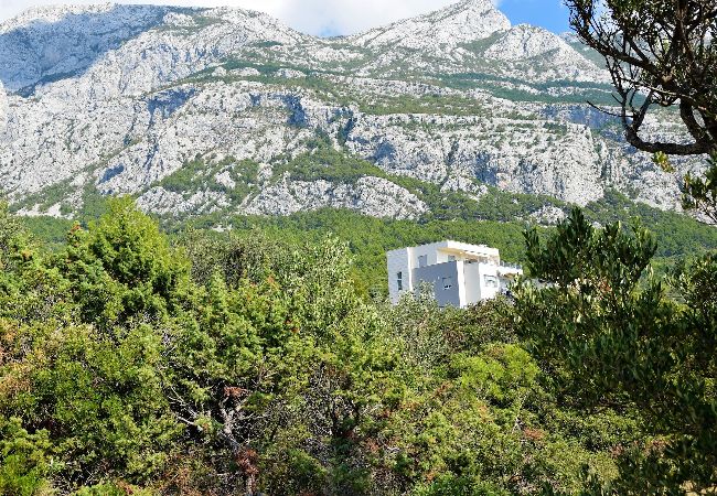 Apartment in Makarska -  Adria View, Apartment Ina with pool