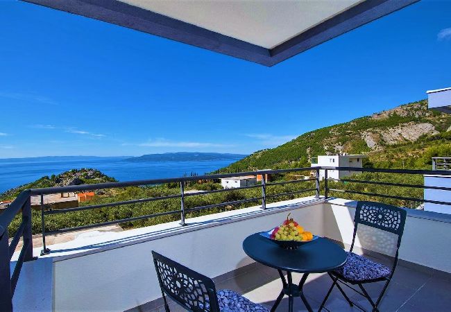 Villa in Makarska -  Villa Red with pool, seaview