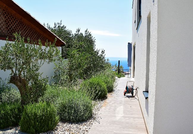 Villa in Makarska - Villa Selina1 with pool  Villa in Makarska - Villa Selina1 with pool