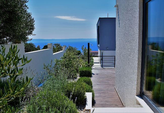 Villa in Makarska - Villa Selina1 with pool  Villa in Makarska - Villa Selina1 with pool