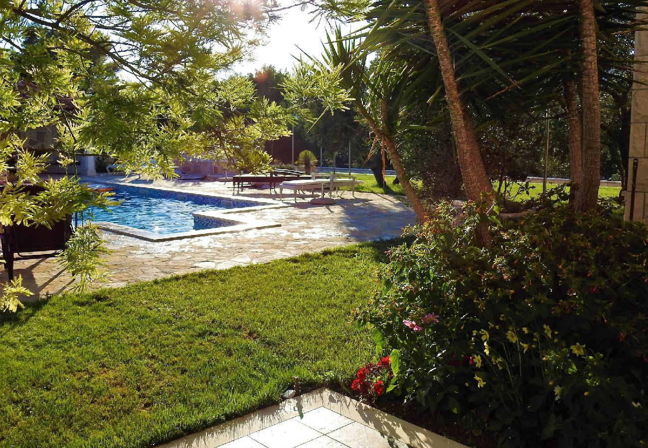 Apartment in Sumartin - Luxury Apartment Preko with pool, island Brac