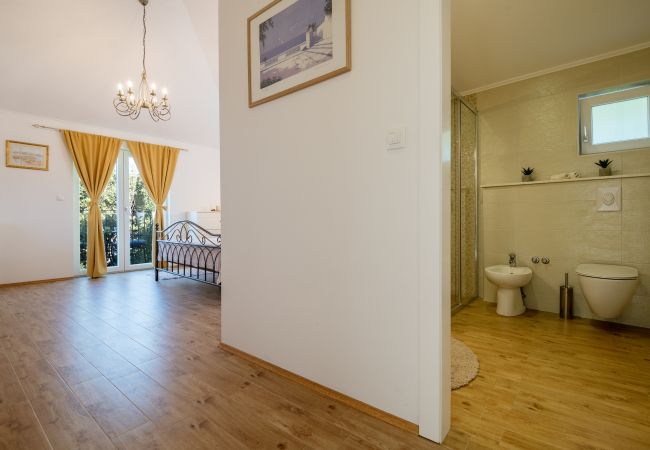 House in Makarska -  Villa Apollon with pool House in Makarska -  Villa Apollon with pool
