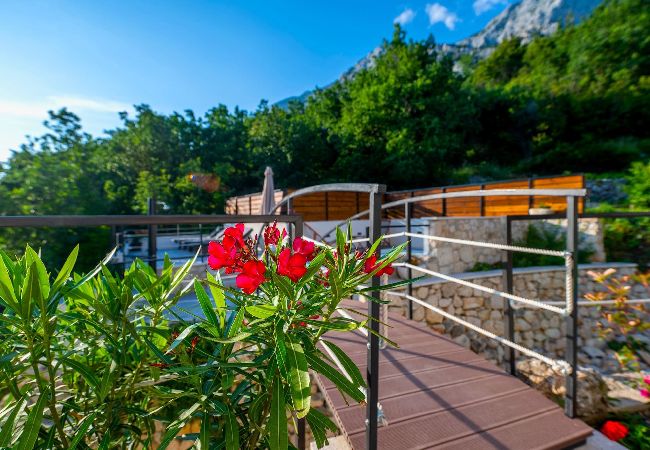 House in Tucepi - Villa Didovina with pool House in Tucepi - Villa Didovina with pool