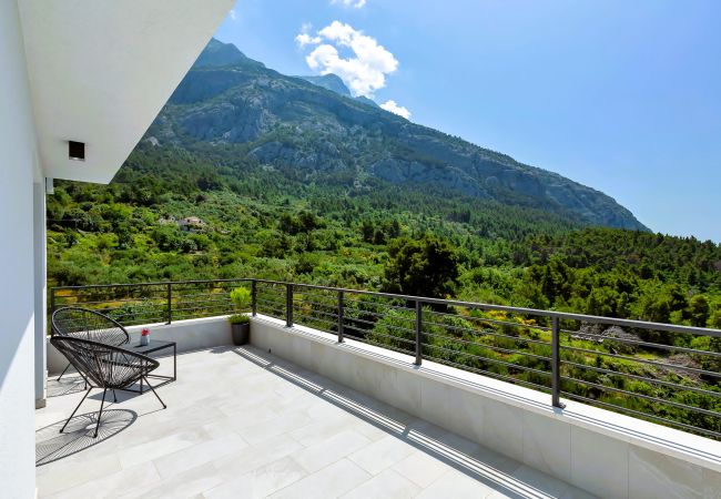 Villa in Makarska -  Villa Vivace with pool
