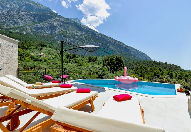 Villa in Makarska -  Villa Vivace with pool