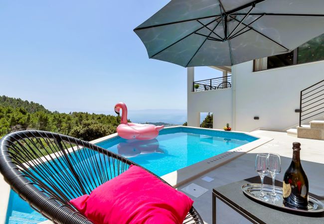 Villa in Makarska -  Villa Vivace with pool Villa in Makarska -  Villa Vivace with pool