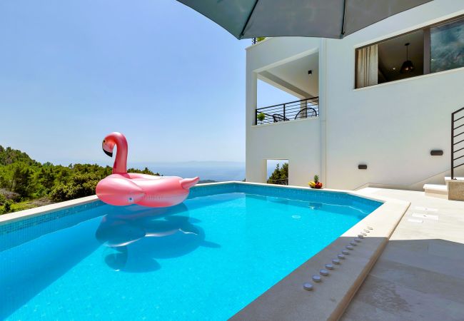 Villa in Makarska -  Villa Vivace with pool Villa in Makarska -  Villa Vivace with pool