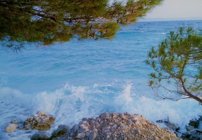 Leilighet i Makarska -  Adria View, Apartment Ina with pool Leilighet i Makarska -  Adria View, Apartment Ina with pool
