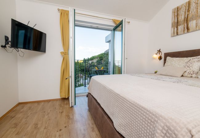 Hus i Makarska -  Villa Apollon with pool Hus i Makarska -  Villa Apollon with pool
