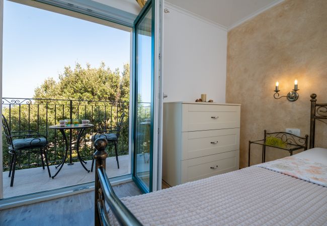 Hus i Makarska -  Villa Apollon with pool Hus i Makarska -  Villa Apollon with pool