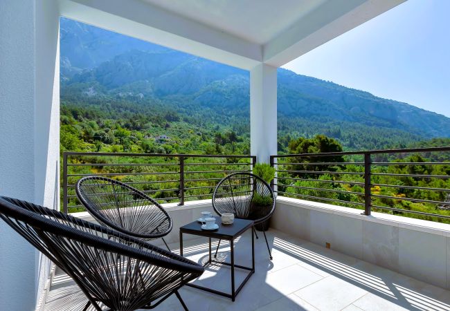 Villa i Makarska -  Villa Vivace with pool Villa i Makarska -  Villa Vivace with pool