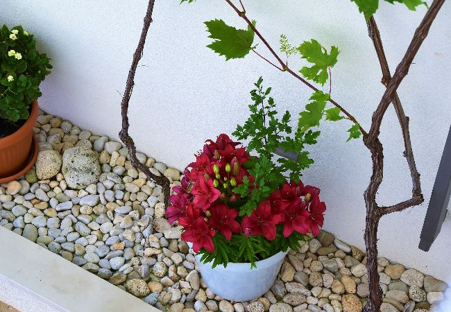 Apartament w Makarska -  Adria View, Apartment Dado, with pool Apartament w Makarska -  Adria View, Apartment Dado, with pool