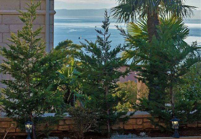 Willa w Makarska -  Villa Marko with pool Willa w Makarska -  Villa Marko with pool