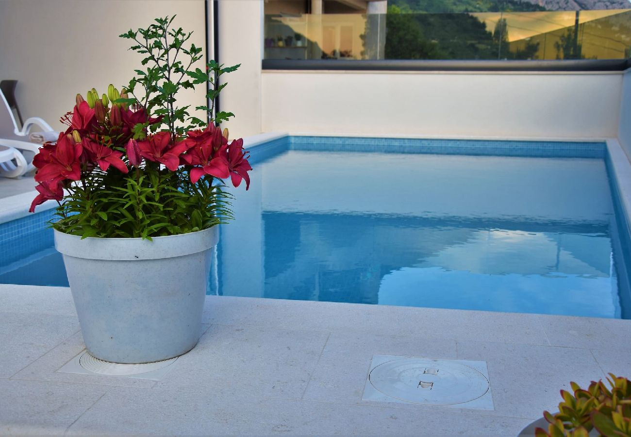 Apartament w Makarska -  Adria View, Apartment Dino, Whirlpool, pool