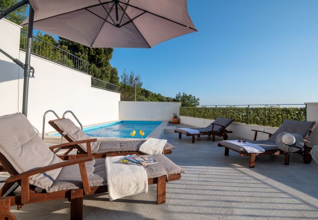 Dom w Makarska -  Villa Apollon with pool Dom w Makarska -  Villa Apollon with pool