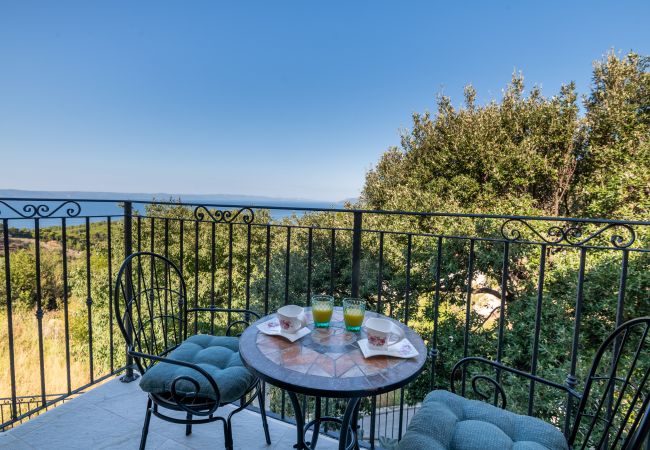Dom w Makarska -  Villa Apollon with pool Dom w Makarska -  Villa Apollon with pool
