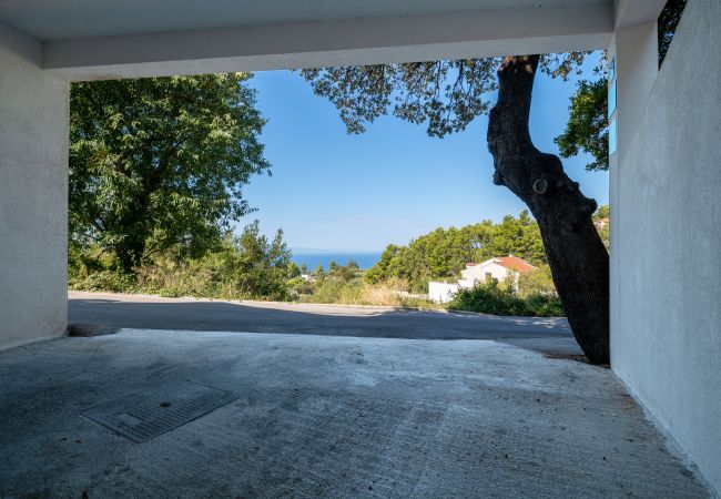 Dom w Makarska -  Villa Apollon with pool Dom w Makarska -  Villa Apollon with pool