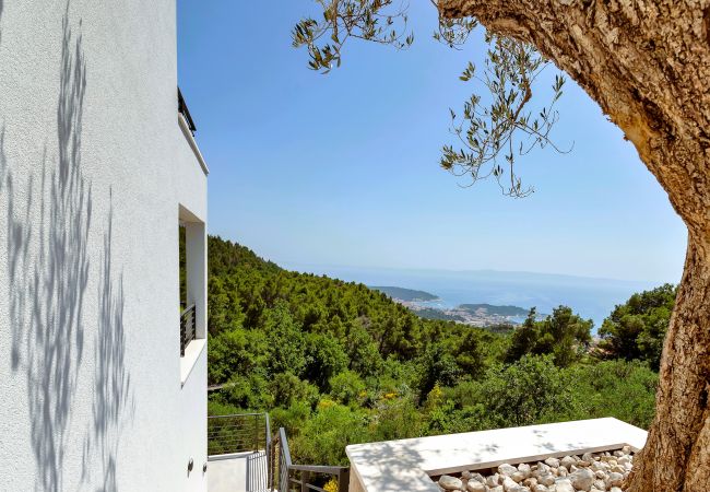 Willa w Makarska -  Villa Vivace with pool Willa w Makarska -  Villa Vivace with pool