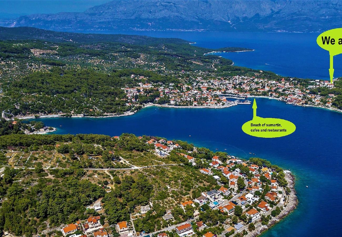 Apartament w Sumartin - Luxury Apartment Dado with pool, island Brac