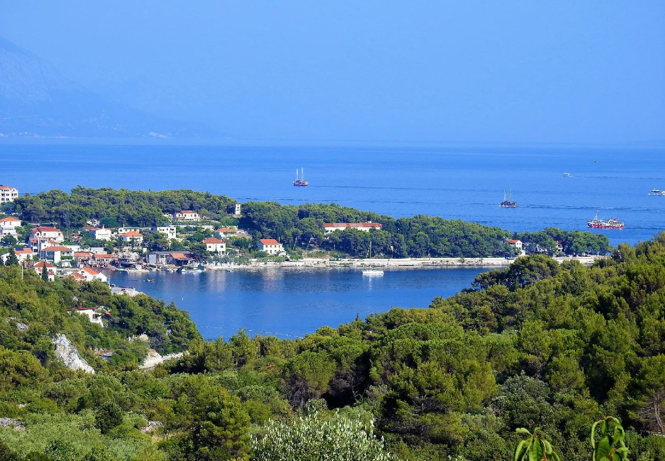 Apartament w Sumartin - Luxury Apartment Dado with pool, island Brac