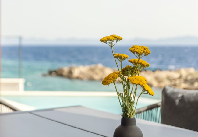 Willa w Potomje - Luxury Villa Mare, right on the beach Willa w Potomje - Luxury Villa Mare, right on the beach
