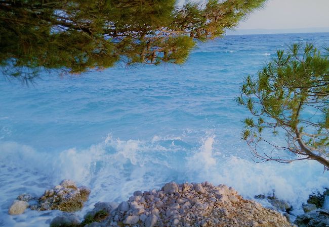 Lägenhet i Makarska -  Adria View, Apartment Ina with pool