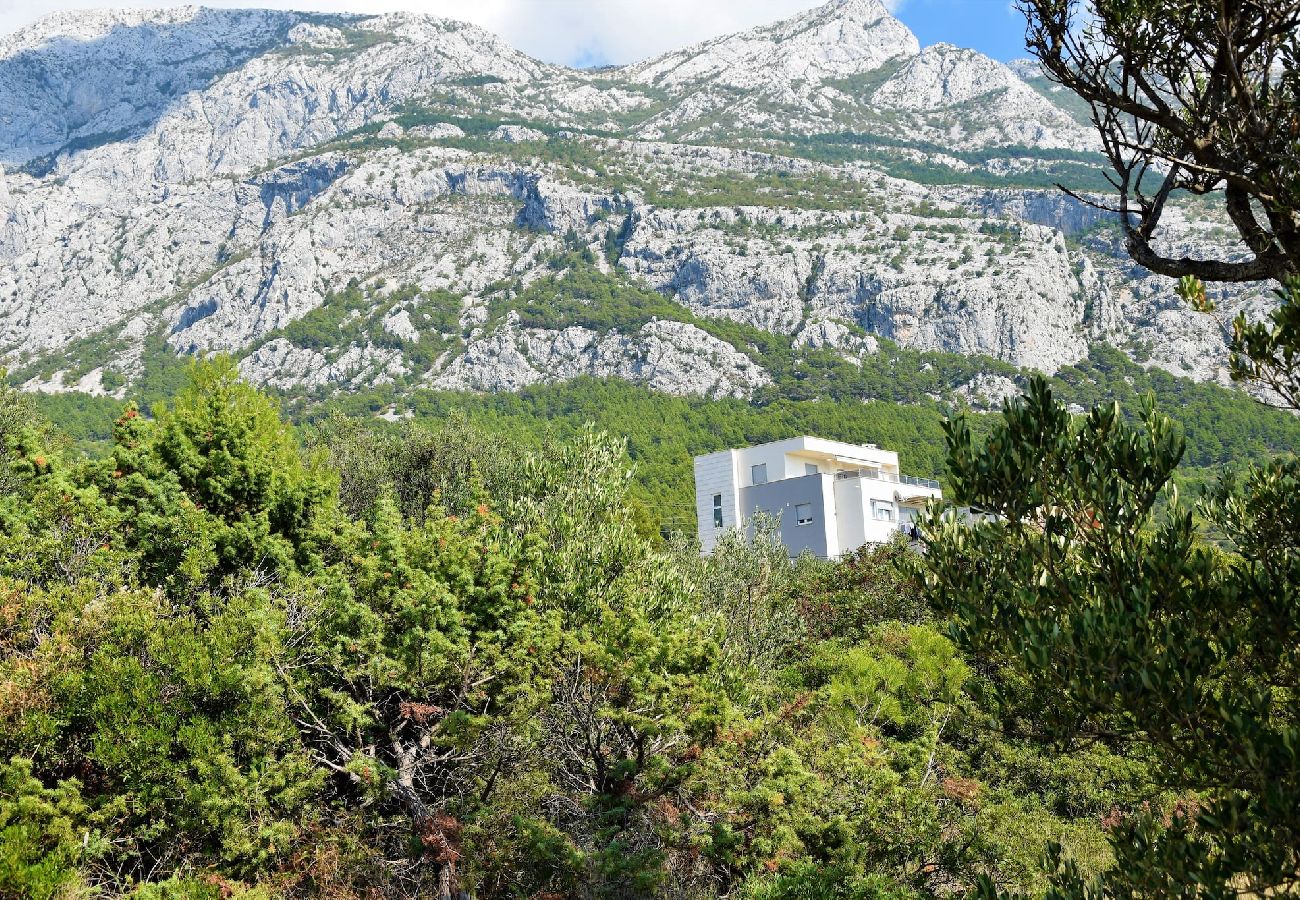 Lägenhet i Makarska -  Adria View, Apartment Ina with pool