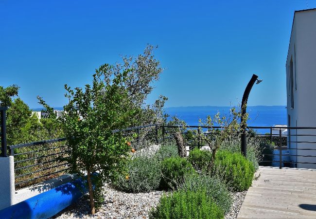 Villa i Makarska -  Villa Selina2 with pool