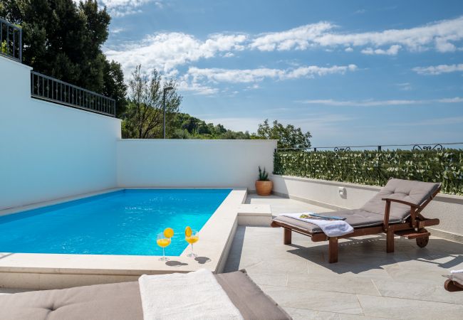 Ferienhaus in Makarska -  Villa Apollon mit Pool