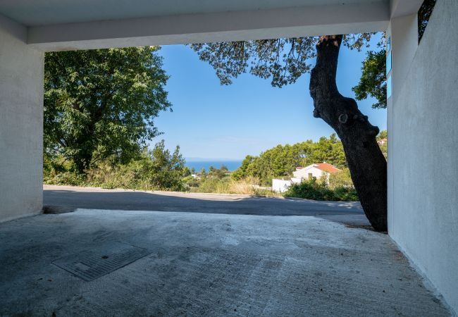 Ferienhaus in Makarska -  Villa Apollon mit Pool