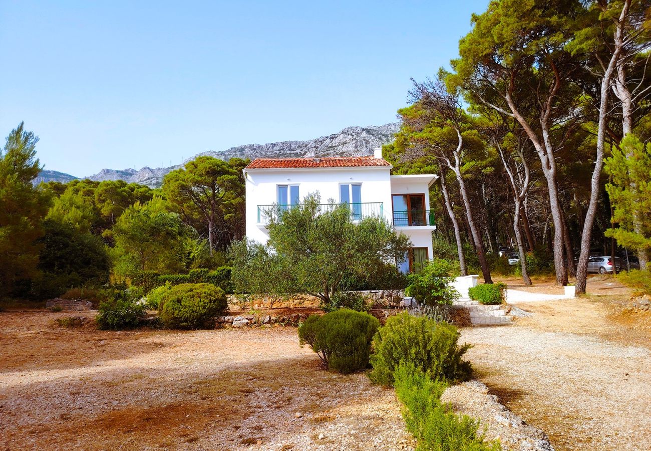 Villa in Brela - Direkt am Strand von Brela Villa MarisBella